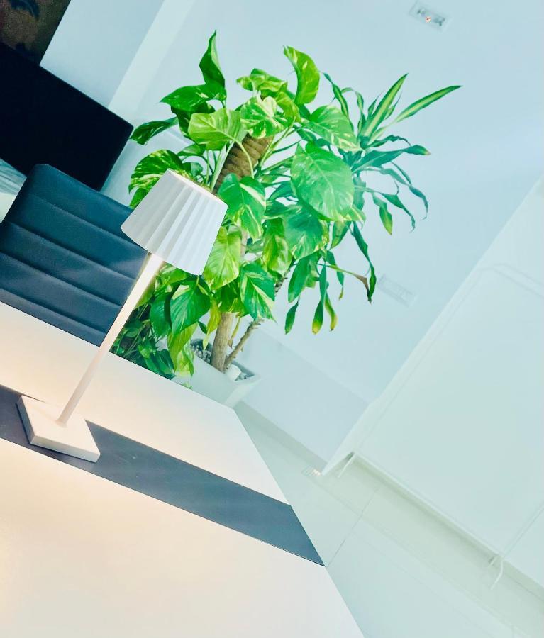 Loft Terracina别墅 外观 照片