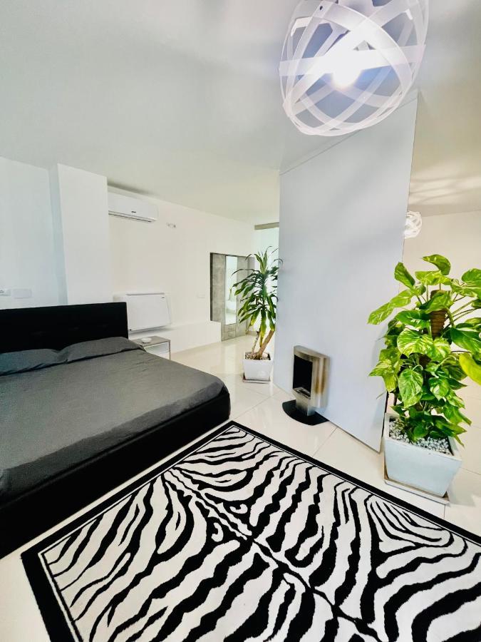 Loft Terracina别墅 外观 照片