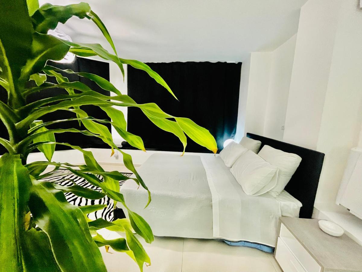 Loft Terracina别墅 外观 照片